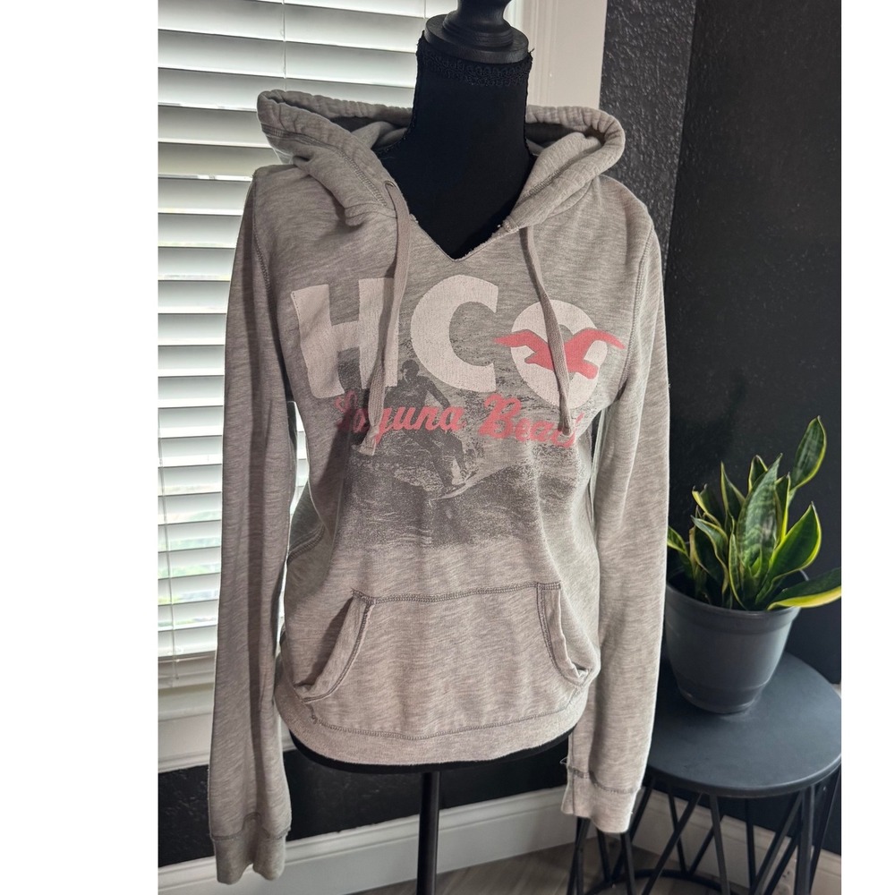 Vintage Hollister Laguna Beach Graphic Hoodie Gray Pink Logo Pullover Large